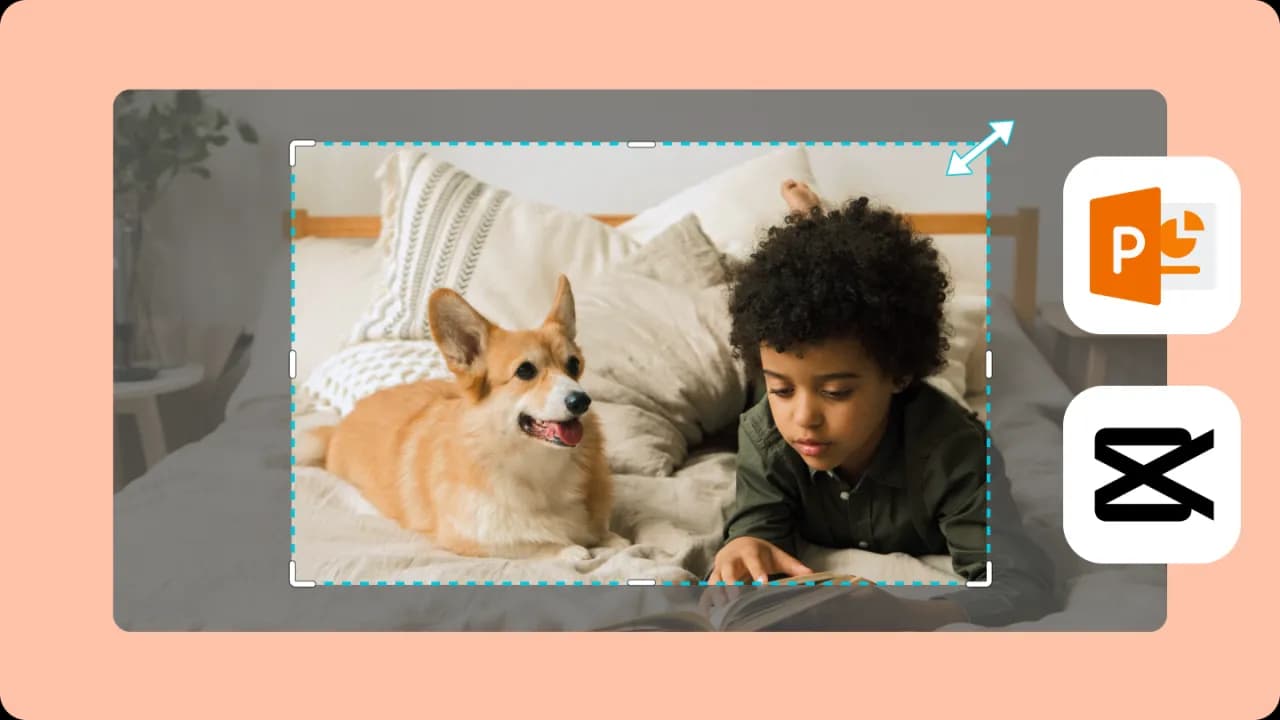 Jak przyciąć obraz w PowerPoint i uniknąć najczęstszych błędów Jak przyciąć obraz w PowerPoint i uniknąć najczęstszych błędów